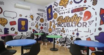 Lounge Butterfly Incubator